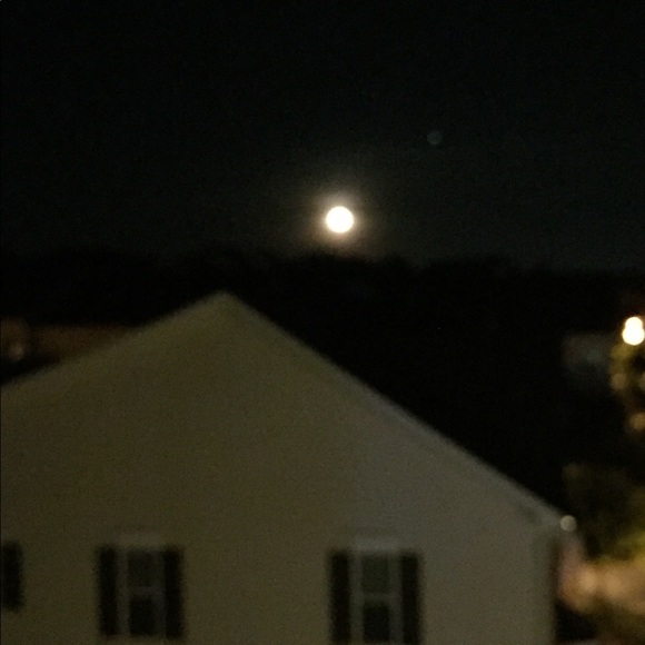 Meet your Posher, Koko - Picture 1 of 2